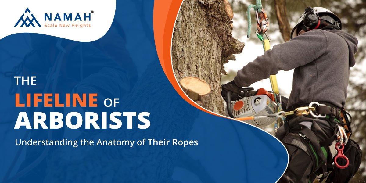 Arbormax Ropes Anatomy of Arborist Ropes | Understanding its Importance – Namah Ropes