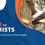 Anatomy of Arborist Ropes