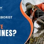 Arborist Ropes