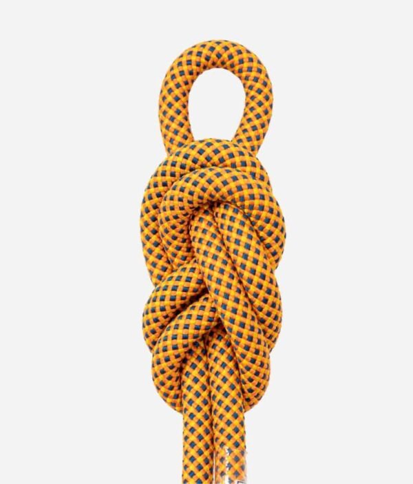 Dynamic Magma Trace Knot