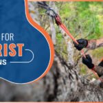 A man is climbing on a rock with the help of Arborist Climbing Rope