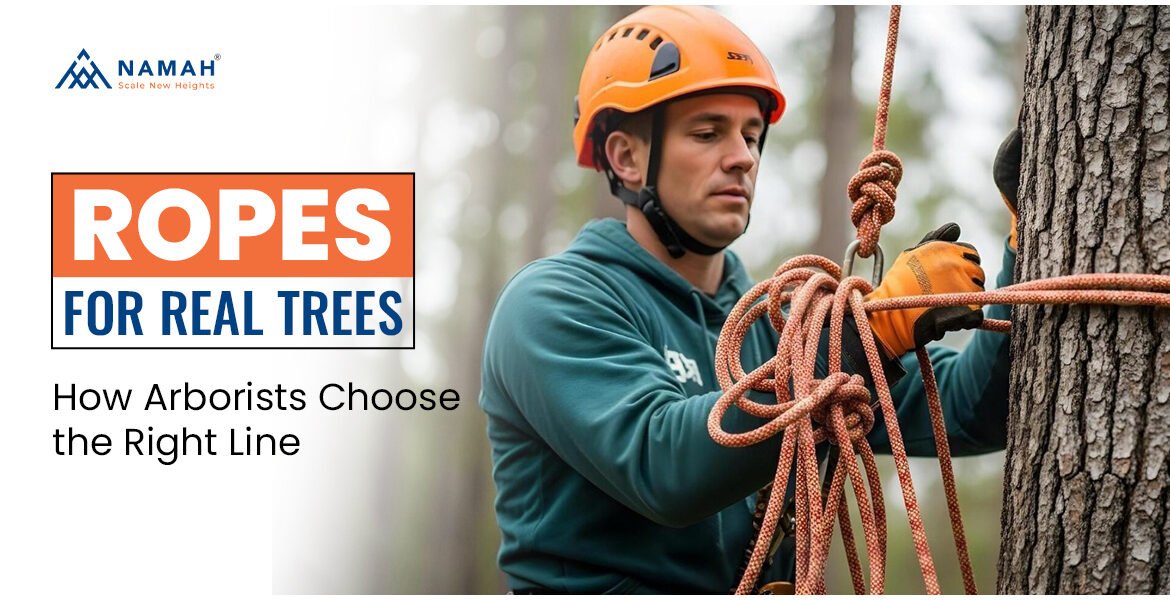 Tree Climbing Ropes - A Man Is Working On A Tree