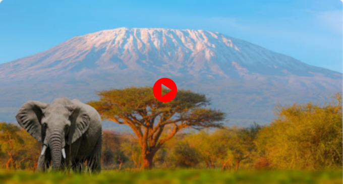 Kilimanjaro Kilimanjaro