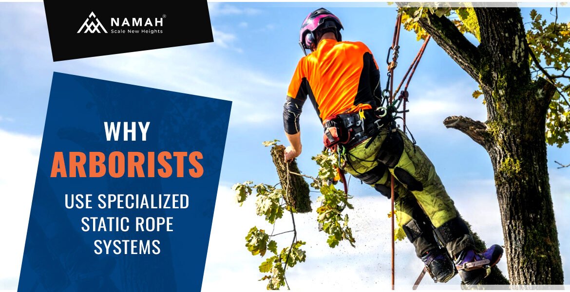 Know Why Arborists Use Specialized Static Rope Systems For Safety