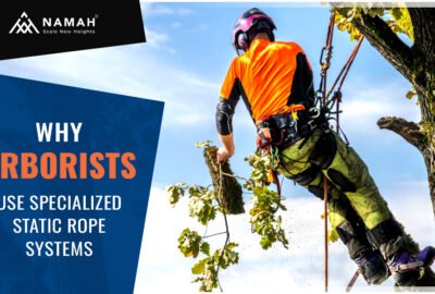 Know Why Arborists Use Specialized Static Rope Systems For Safety