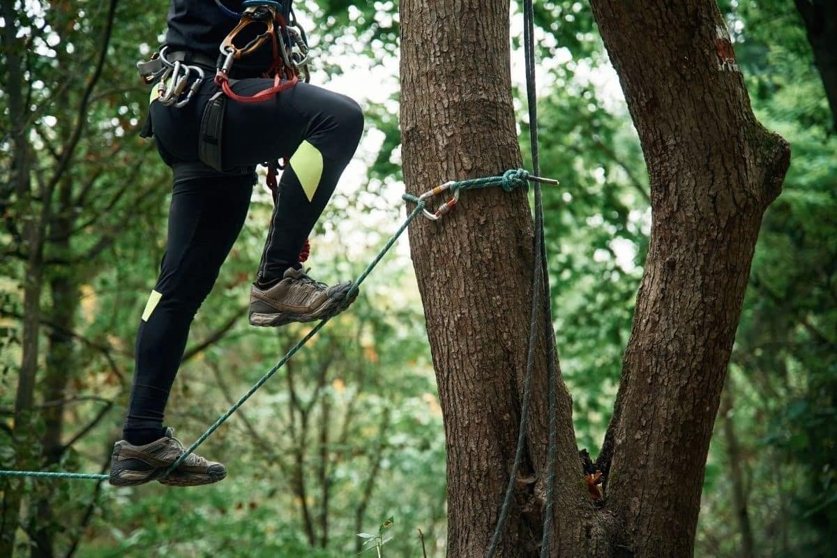 Arborist Climbing Ropes